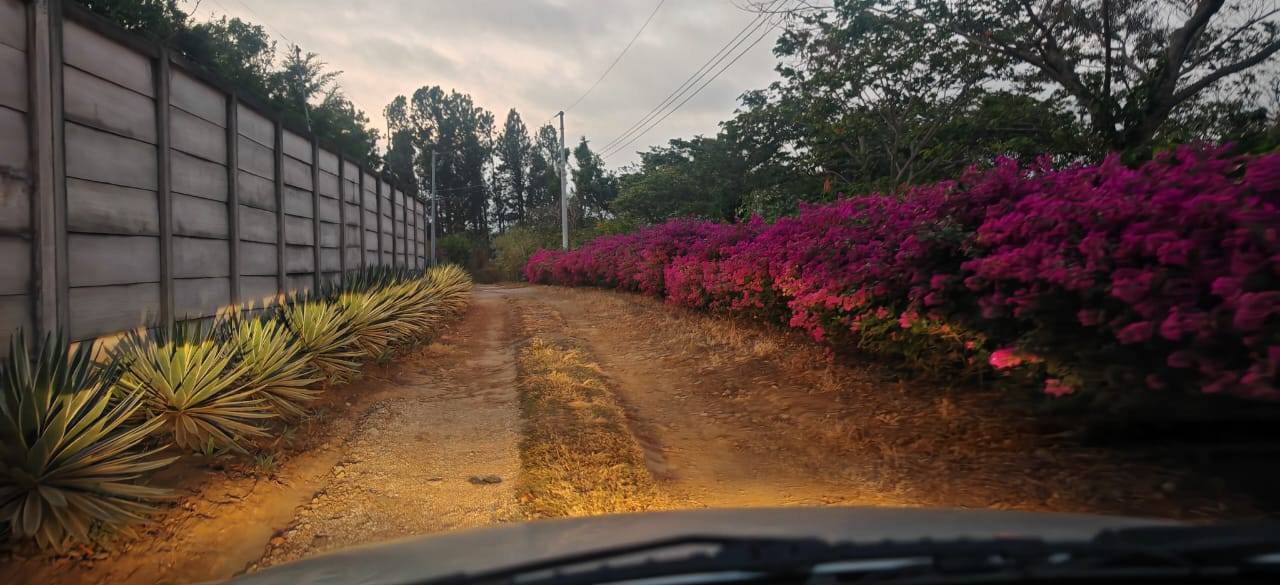 #202 - Terrenos y Urbanizaciones para Venta en Juayúa - Sonsonate