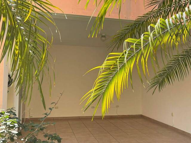 Casa y Residencia para Alquiler en San Salvador - 5