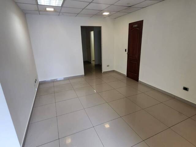 Locales, Oficinas y Bodegas para Alquiler en San Salvador - 5