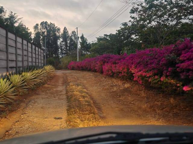#202 - Terrenos y Urbanizaciones para Venta en Juayúa - Sonsonate - 1
