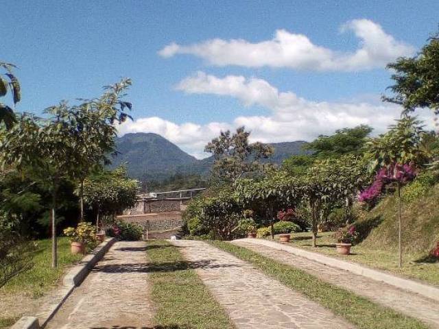 #202 - Terrenos y Urbanizaciones para Venta en Juayúa - Sonsonate - 3