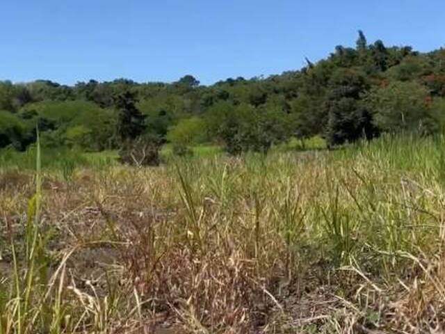 #206 - Terrenos y Urbanizaciones para Venta en Comasagua - La Libertad - 2