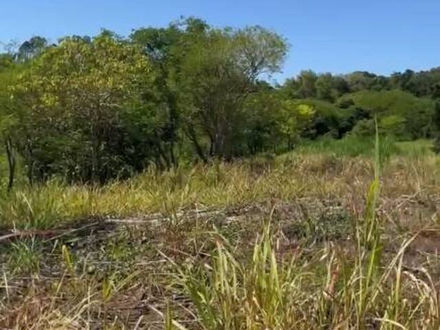 #206 - Terrenos y Urbanizaciones para Venta en Comasagua - La Libertad - 1