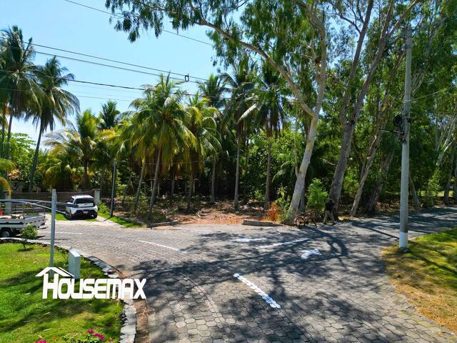 #209 - Rancho y Terreno de Playa para Venta en San Luis La Herradura - La Paz - 2