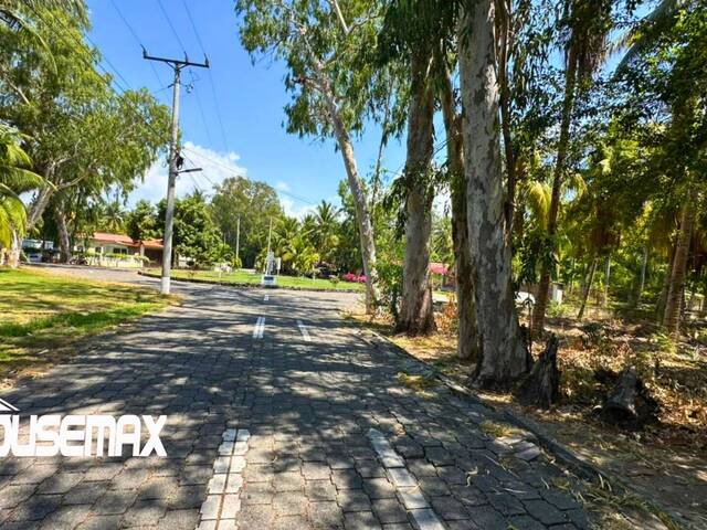 Rancho y Terreno de Playa para Venta en San Luis La Herradura - 5