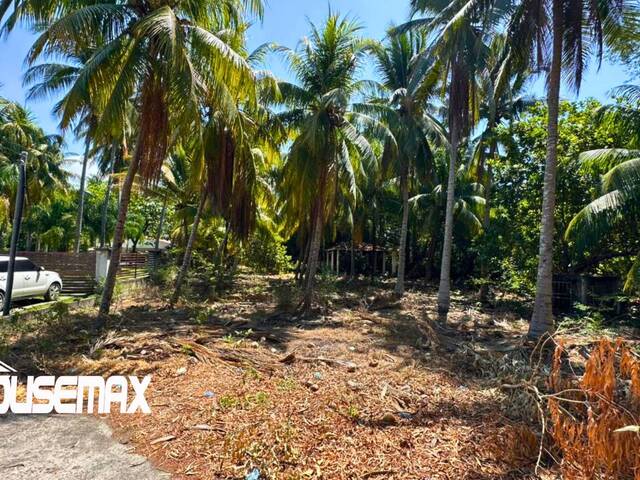 #209 - Rancho y Terreno de Playa para Venta en San Luis La Herradura - La Paz - 3