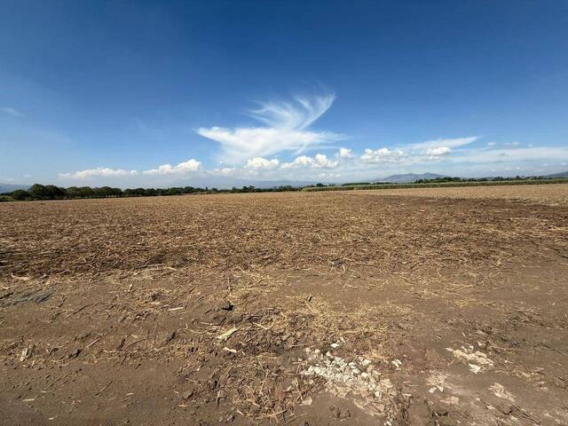 Terrenos y Urbanizaciones para Venta en San Juan Opico - 5