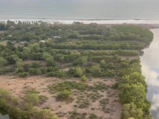 Rancho y Terreno de Playa para Venta en San Juan Talpa - 5